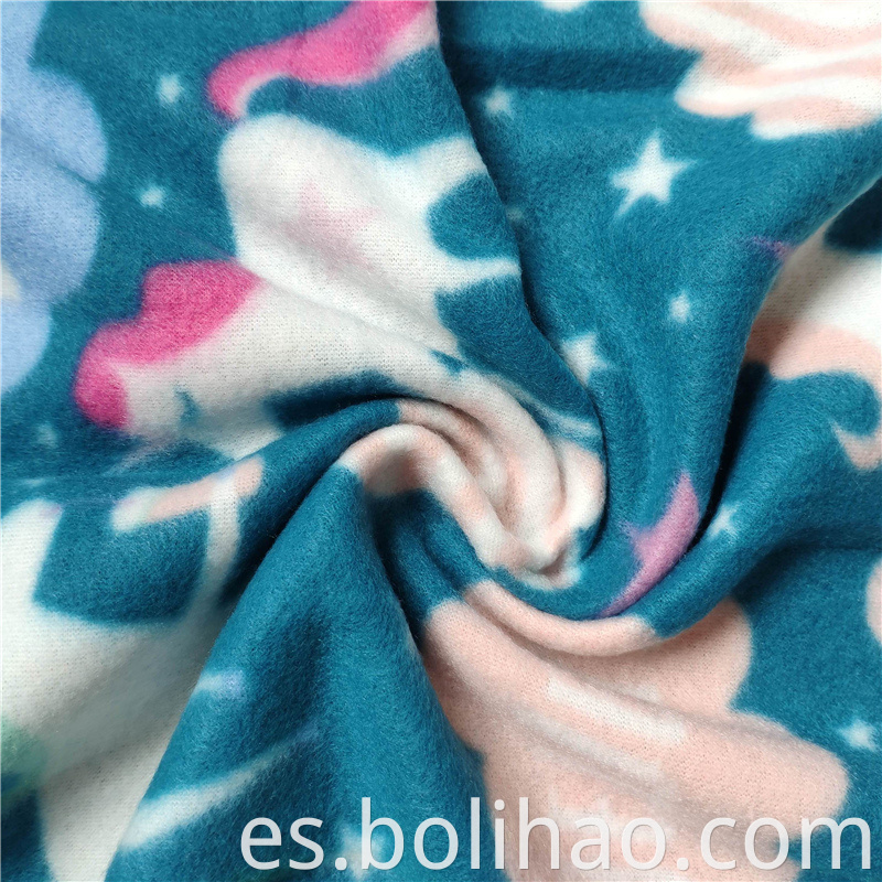 Polar Fleece 13